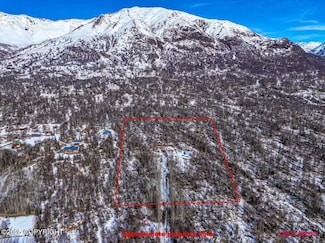 9911 N Runyon Cir, Palmer, AK 99645