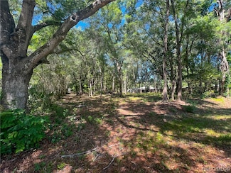 3965 E Walker St, Inverness, FL 34453