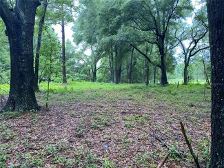 265 SW McNish Ct, High Springs, FL 32643