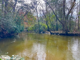 0 County Road 303, Skipperville, AL 36374