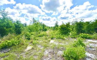 0000 Cr 412, Mayo, FL 32066