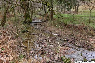 0000 Ardmore Ridge Rd, Ardmore, TN 38449