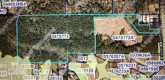 TBD Cryer Rd, Denham Springs, LA 70706