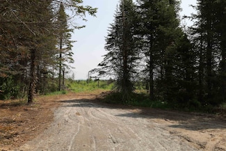 00 Chilafoux Rd, West Charleston, VT 05872