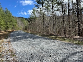 0 Cougar Trail 10 1, Del Rio, TN 37727