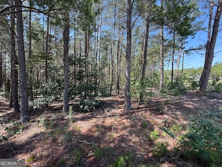12.1 ACRES Jackson Rd, Roberta, GA 31078
