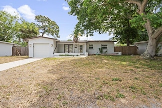 4504 S Cameron Ave, Tampa, FL 33611