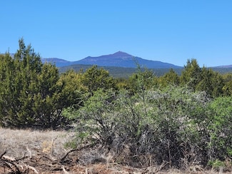 0 Camino Del Norte, Tajique, NM 87061