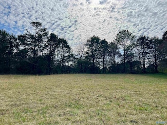 Lot 3 County Road 726, Gaylesville, AL 35973