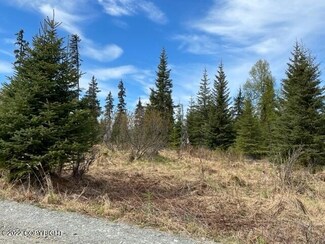 28437 Not So Far St, Anchor Point, AK 99556