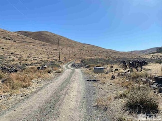 307 Neilson Rd, Washoe Valley, NV 89521