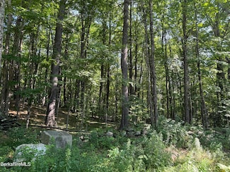 0 Stage Rd Unit 244006, Cummington, MA 01026