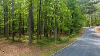0 Golden Delicious Unit 7588967, Clarkesville, GA 30523