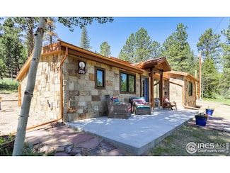 256 Fisk Fenner Rd, Allenspark, CO 80510