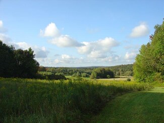 0 Reagan Unit 1044075, French Creek, NY 14724