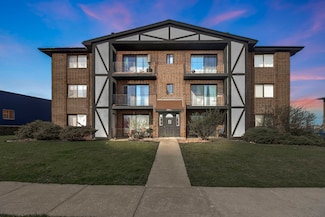 16622 Theresa Ln Unit 304, Tinley Park, IL 60477