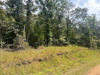 0 County Road 54, Guin, AL 35563