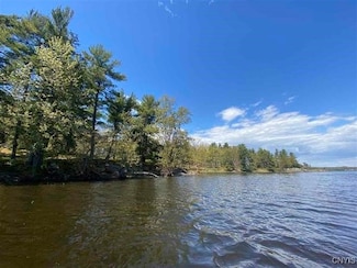 0 Jennie's Island Unit S1612723, Morristown, NY 13664