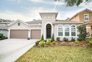 1025 Tracey Ann Loop, Seffner, FL 33584