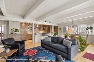 231 Maple Ridge Ln, Snowmass Village, CO 81615
