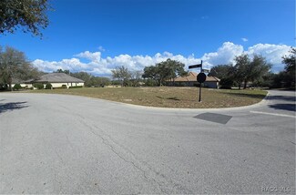 2608 N Carnoustie Loop, Black Diamond, FL 34461