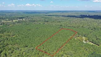 0002 County Road 1926 Unit Tract 2, Linden, TX 75563