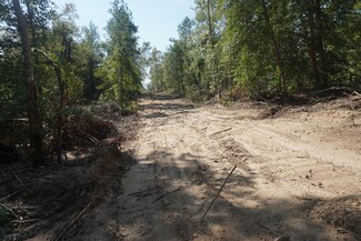 0 An County Road 443, Palestine, TX 75803