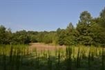 8100 Cross Anchor Rd, Enoree, SC 29335