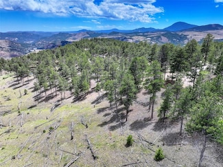 54 Holmes Gulch Rd, Bailey, CO 80421