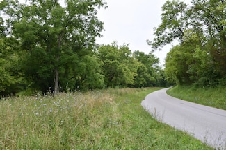 1540 Snag Creek Rd, Foster, KY 41043