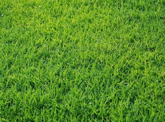 5117 Sydnie Rd NW, Rochester, MN 55901