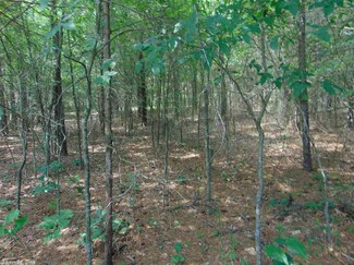 Lot 10 B Tumbling Shoals Estates, Tumbling Shoals, AR 72581