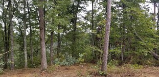 1391 Old Harris Turnpike Rd, South Pittsburg, TN 37380