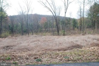Lot 6A Greenbrier Rd, New Bloomfield, PA 17068