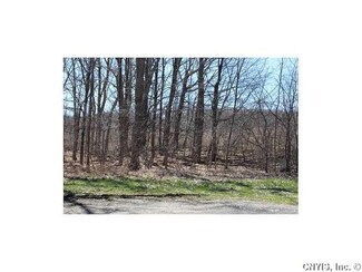 Lot 1 W Lake Rd, Fleming, NY 13021
