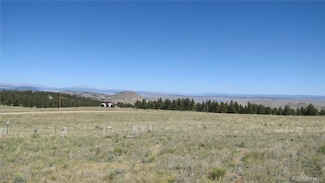 1198 Wagon Wheel Rd, Hartsel, CO 80449