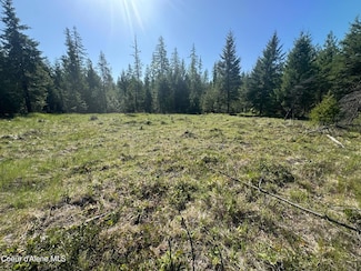 NNA Backroads Way 12 5 Acres, Priest River, ID 83856