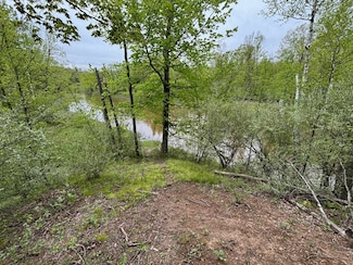 1240 Birch Ridge Rd, Hay Township, MI 48624