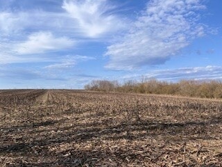 0 County Road 154, Section, AL 35771