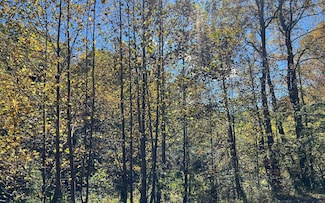 4AC Tusquittee Rd, Hayesville, NC 28904