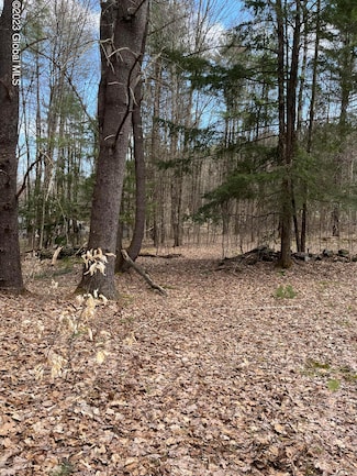 L64 L24 Honeysuckle Dr, Granville, NY 12832