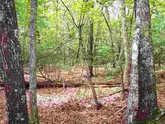 Tract 20 Curts Way, Cleveland, SC 29635