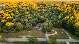 5555 Carlton Ln, Garfield, GA 30425