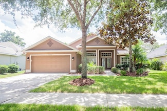 6208 Whimbrelwood Dr, Lithia, FL 33547