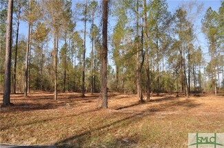0 Captain Cone Lot # 11 Ct Unit 181930, Brooklet, GA 30415