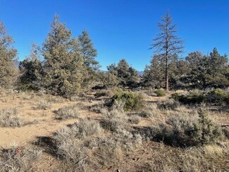 Blk 77 Lot 13 Shasta Vista Dorothea Dr, Montague, CA 96097