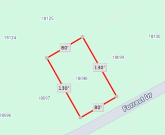 18098 Forrest Dr, Whitney, TX 76692