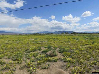 145 Sundance Ln, Smith, NV 89430