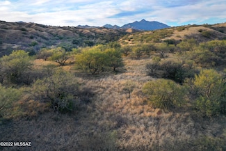 832 Side Oats Ln Unit 195, Patagonia, AZ 85624