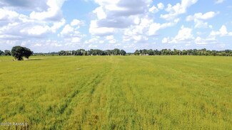 Tbd Grace Rd, Abbeville, LA 70510